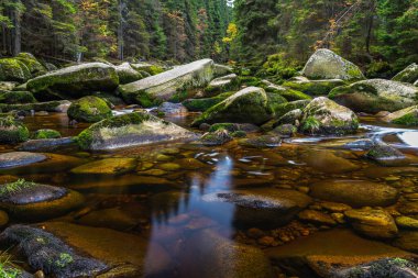 Sumava Dağları 'ndaki Vydra Nehri Czech Cumhuriyeti.