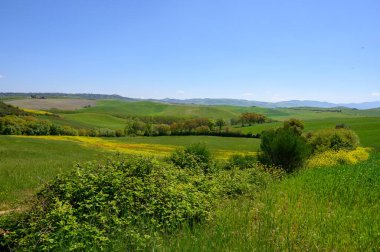 Toskana baharı, yuvarlanan tepeler ve gün batımında yel değirmeni. Kırsal alan. Yeşil alanlar. İtalya, Avrupa