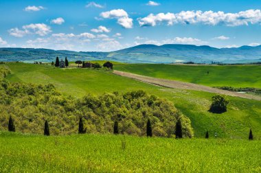 Toskana baharı, yuvarlanan tepeler ve gün batımında yel değirmeni. Kırsal alan. Yeşil alanlar. İtalya, Avrupa