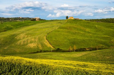 Toskana baharı, yuvarlanan tepeler ve gün batımında yel değirmeni. Kırsal alan. Yeşil alanlar. İtalya, Avrupa