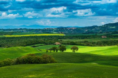 Toskana baharı, yuvarlanan tepeler ve gün batımında yel değirmeni. Kırsal alan. Yeşil alanlar. İtalya, Avrupa