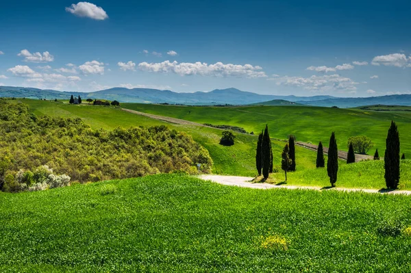 Toscana Vår Böljande Kullar Och Väderkvarn Vid Solnedgången Landsbygd Gröna — Stockfoto