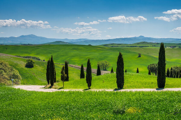 Тоскана весна, холмы и ветряная мельница на закате. Сельский пейзаж. Зеленые поля. Италия, Европа