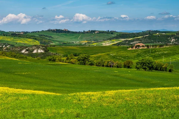 Toscana Vår Böljande Kullar Och Väderkvarn Vid Solnedgången Landsbygd Gröna — Stockfoto