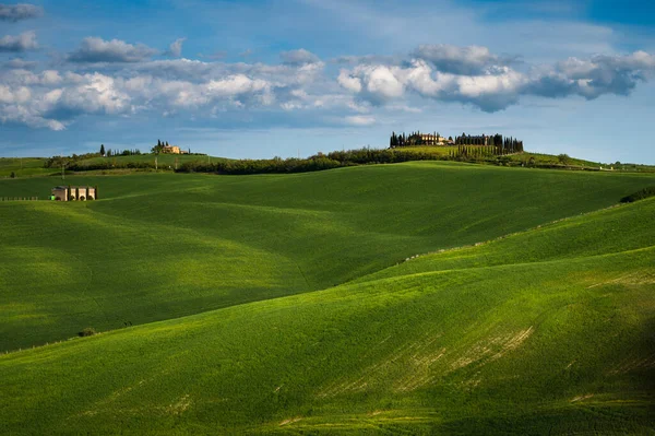 Toscana Vår Böljande Kullar Och Väderkvarn Vid Solnedgången Landsbygd Gröna — Stockfoto