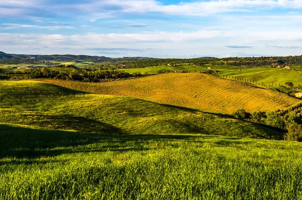 Toscana Vår Böljande Kullar Och Väderkvarn Vid Solnedgången Landsbygd Gröna — Stockfoto