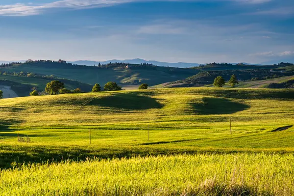 Toscana Vår Böljande Kullar Och Väderkvarn Vid Solnedgången Landsbygd Gröna — Stockfoto