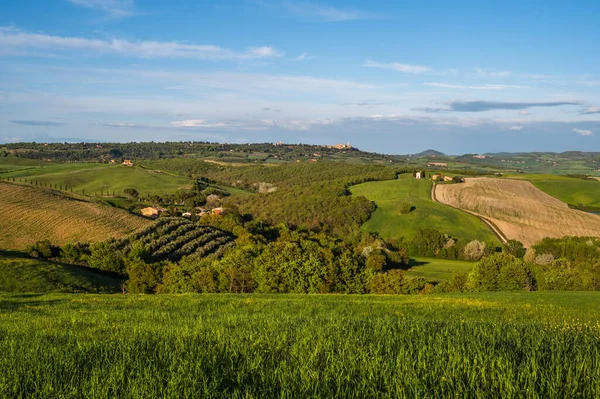 Toscana Vår Böljande Kullar Och Väderkvarn Vid Solnedgången Landsbygd Gröna — Stockfoto