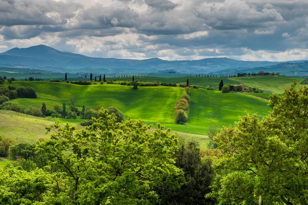 Toscana Vår Böljande Kullar Och Väderkvarn Vid Solnedgången Landsbygd Gröna — Stockfoto