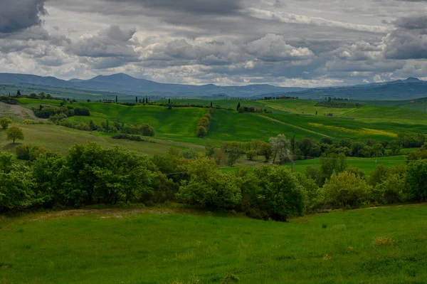 Toscana Vår Böljande Kullar Och Väderkvarn Vid Solnedgången Landsbygd Gröna — Stockfoto