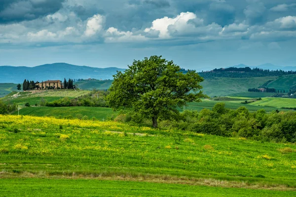 Toskana baharı, yuvarlanan tepeler ve gün batımında yel değirmeni. Kırsal alan. Yeşil alanlar. İtalya, Avrupa