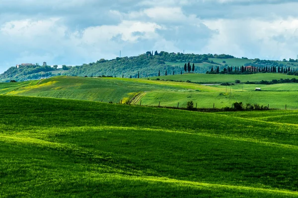 Toscana Vår Böljande Kullar Och Väderkvarn Vid Solnedgången Landsbygd Gröna — Stockfoto