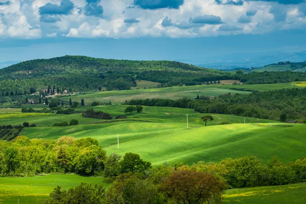 Toscana Vår Böljande Kullar Och Väderkvarn Vid Solnedgången Landsbygd Gröna — Stockfoto