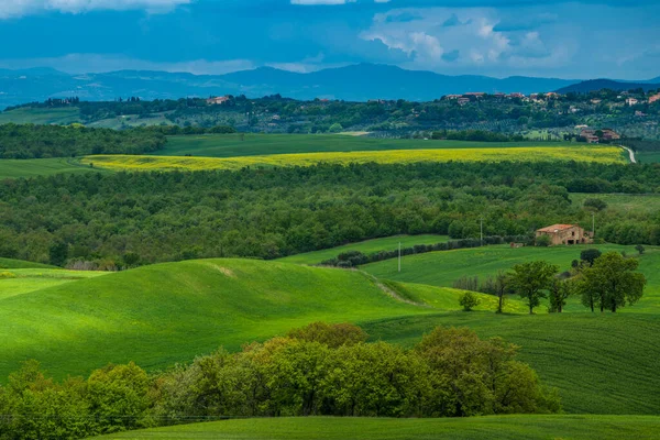 Toskana baharı, yuvarlanan tepeler ve gün batımında yel değirmeni. Kırsal alan. Yeşil alanlar. İtalya, Avrupa