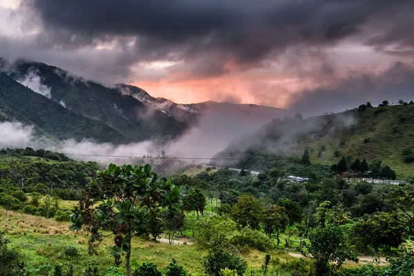 Mashpi Ekologiska Reservatet Ecuador Highlands Molnskogen — Stockfoto