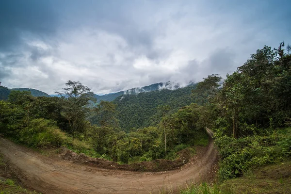 Riserva Ecologica Mashpi Ecuador Highlands Foresta Pluviale — Foto Stock