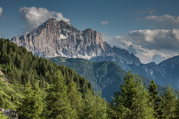 Las Krajobrazowy Trentino Górą Dolomiti — Zdjęcie stockowe