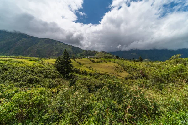 Mashpi Ecological Reserve Equador Highlands Cloud Forest — Fotografia de Stock