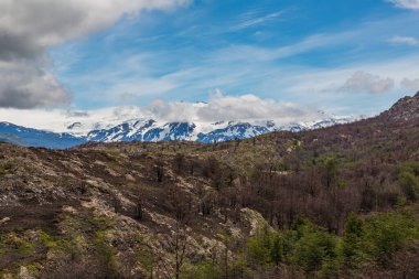 Torres del Paine, Şili 'de 1978.Patagonya' da UNESCO Biyosfer rezervi ilan edilen ulusal park.