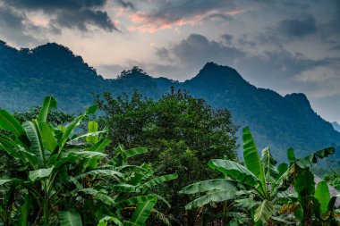 Mu Cang Chai, Kuzey Vietnam, Sapa yakınlarındaki pirinç tarlası manzaralı.