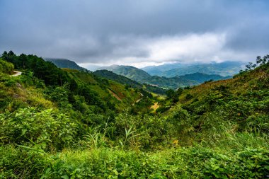 Mu Cang Chai, Kuzey Vietnam, Sapa yakınlarındaki pirinç tarlası manzaralı.