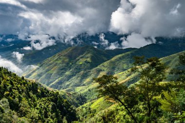 Güzel vadideki dağ yolu. Ha Giang bölgesi. Vietnam