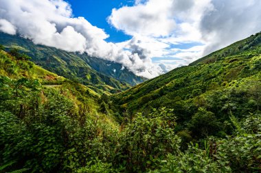 Güzel vadideki dağ yolu. Ha Giang bölgesi. Vietnam