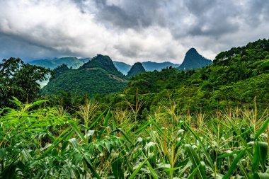 Güzel vadideki dağ yolu. Ha Giang bölgesi. Vietnam