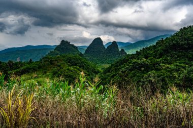 Güzel vadideki dağ yolu. Ha Giang bölgesi. Vietnam