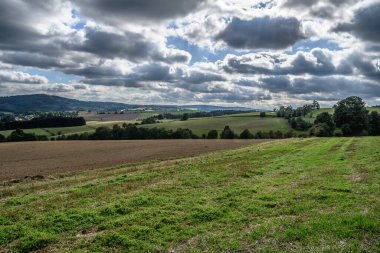Çek Cumhuriyeti bölgesinin güzel yeşil manzarası Vysocina
