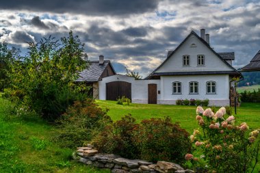 Çek Cumhuriyeti bölgesinin güzel yeşil manzarası Vysocina