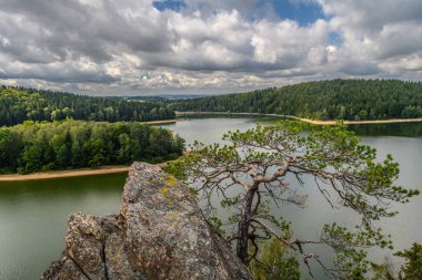 Çek Cumhuriyeti bölgesinin güzel yeşil manzarası Vysocina