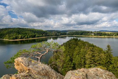 Çek Cumhuriyeti bölgesinin güzel yeşil manzarası Vysocina