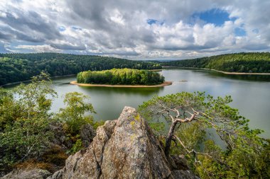 Çek Cumhuriyeti bölgesinin güzel yeşil manzarası Vysocina