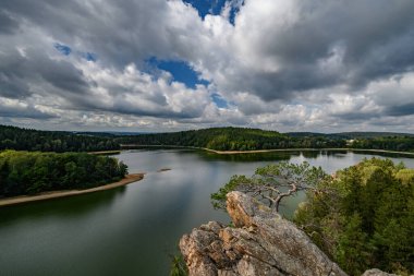 Çek Cumhuriyeti bölgesinin güzel yeşil manzarası Vysocina