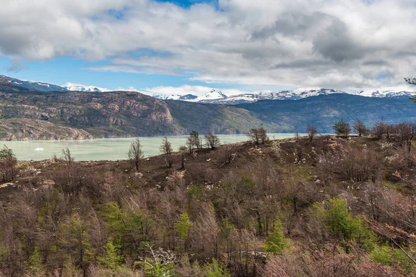 Torres Del Paine Adalah Sebuah Taman Nasional Chili Yang Dinyatakan — Stok Foto