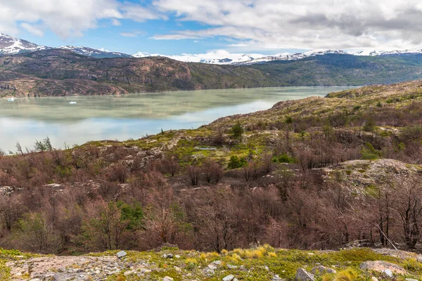 Torres Del Paine Nationalpark Chile Som Förklarades Vara Ett Biosfärområde — Stockfoto