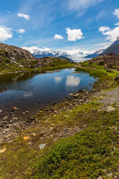 Torres Del Paine Adalah Sebuah Taman Nasional Chili Yang Dinyatakan — Stok Foto