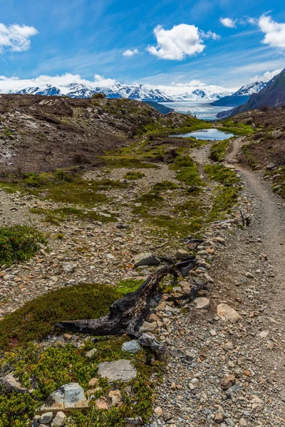 Torres Del Paine Nationalpark Chile Som Förklarades Vara Ett Biosfärområde — Stockfoto