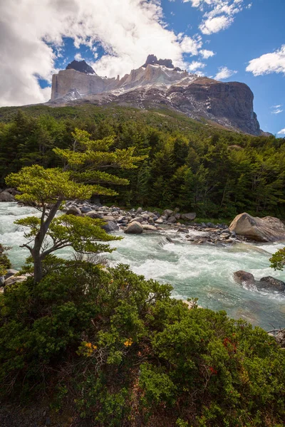 Torres Del Paine Parque Nacional Chileno Declarado Reserva Biosfera Por — Foto de Stock