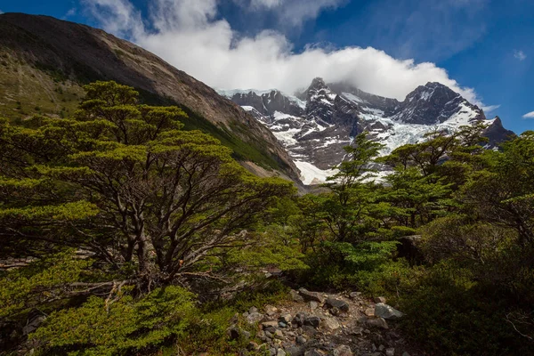 Torres Del Paine Nationalpark Chile Som Förklarades Vara Ett Biosfärområde — Stockfoto