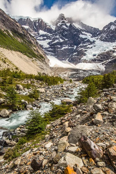 Torres Del Paine Parque Nacional Chileno Declarado Reserva Biosfera Por — Foto de Stock