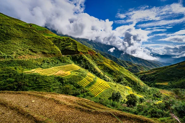 Cang Chai Kuzey Vietnam Sapa Yakınlarındaki Pirinç Tarlası Manzaralı — Stok fotoğraf