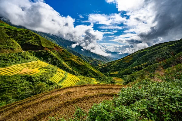 Cang Chai Landskap Terrasserade Risfält Nära Sapa Norra Vietnam — Stockfoto