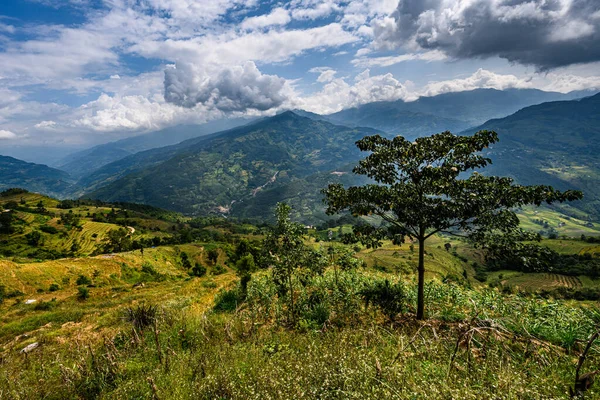 Cang Chai Campo Arroz Com Terraços Paisagísticos Perto Sapa Norte — Fotografia de Stock