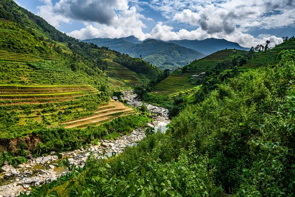 Cang Chai Kuzey Vietnam Sapa Yakınlarındaki Pirinç Tarlası Manzaralı — Stok fotoğraf