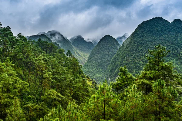 Route Montagne Dans Belle Vallée Province Giang Viêt Nam — Photo