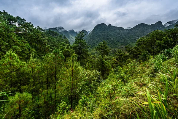 Route Montagne Dans Belle Vallée Province Giang Viêt Nam — Photo