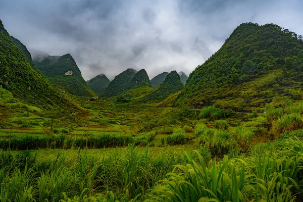 Bergstraße Schönen Tal Provinz Giang Vietnam — Stockfoto