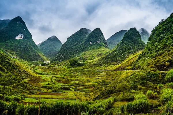 Mountain Road Beautiful Valley Giang Province Vietnam — Stock Photo, Image